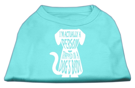 Trapped Screen Print Shirt Aqua Lg